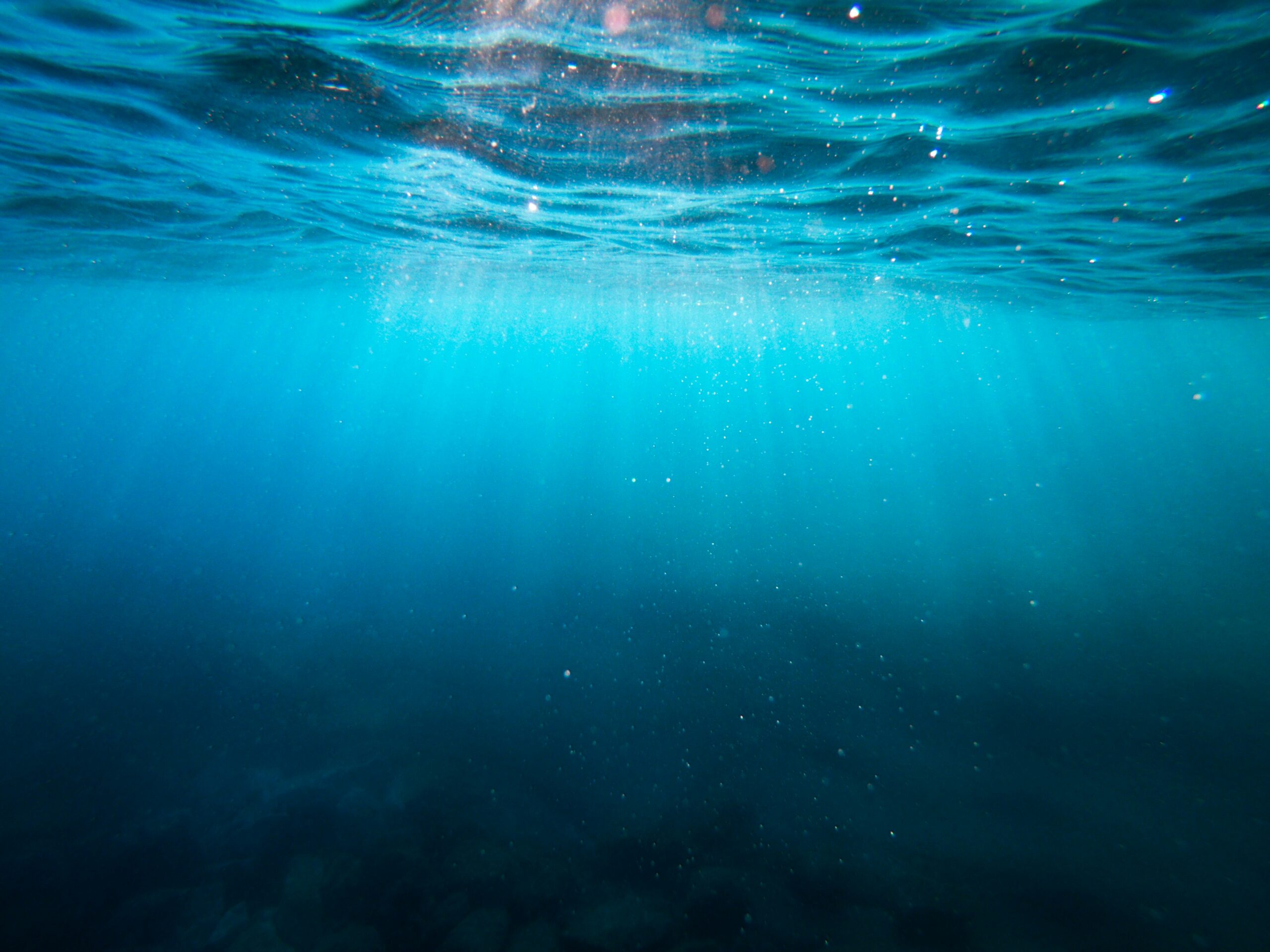 Into the Deep: The Art of Making Meaning
